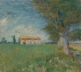 Boerderij in een tarweveld